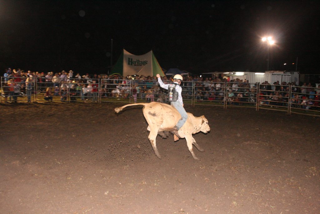 The crowd at the Yangan Rodeo watches all the action of the junior steer ride. Photo Deanna Millard / Daily News